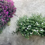 L'antico Borgo Bed and Breakfast