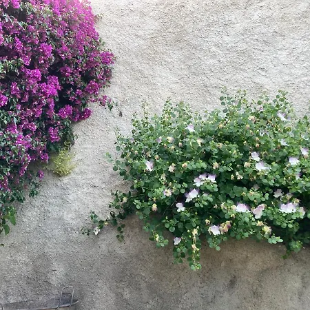 L'antico Borgo Bed & Breakfast