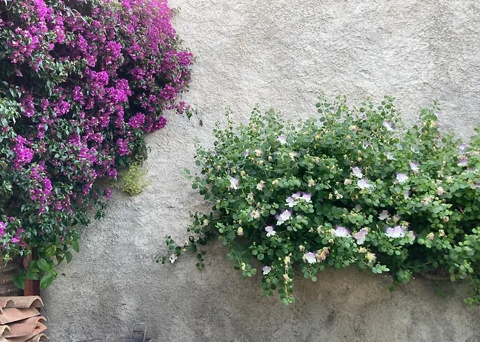 L'antico Borgo Bed & Breakfast