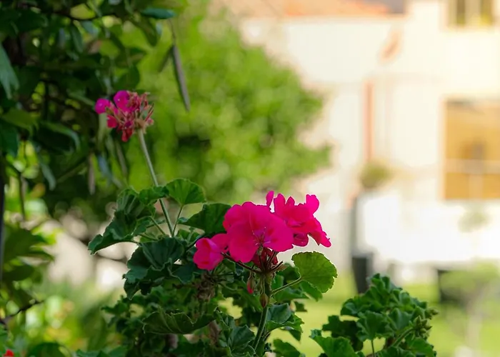L'antico Borgo